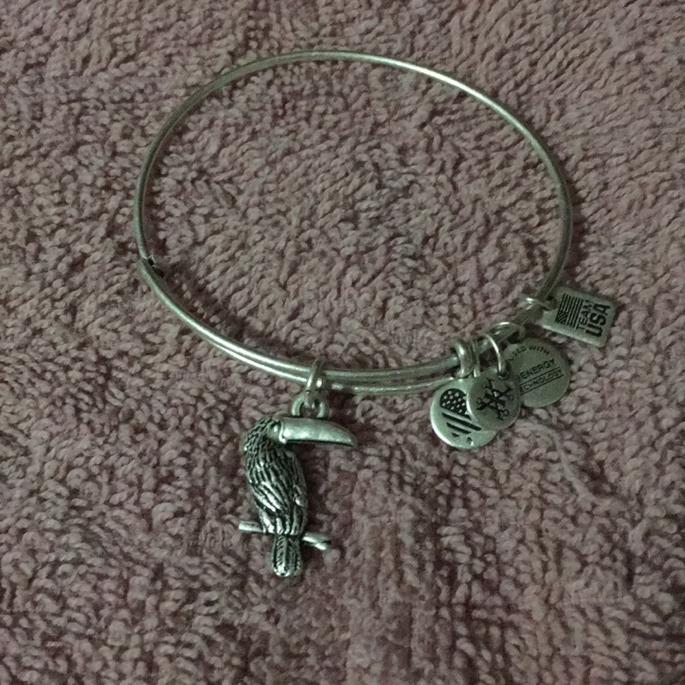 NWOT Alex and Ani Toucan Bracelet